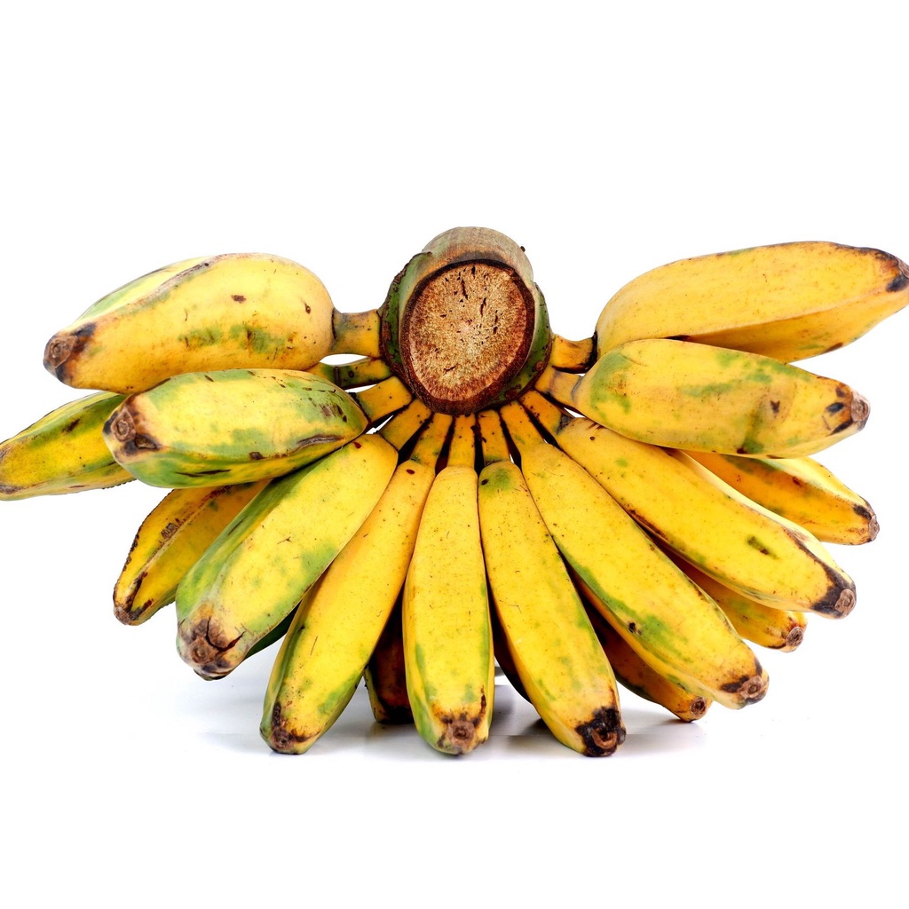 

Pisang Kepok satu sisir 1 Kg