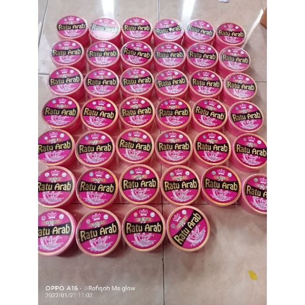 

Promo Bibit lation ratu Arab 100% original BPOM