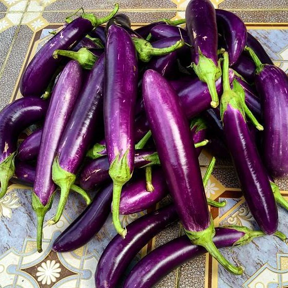 

Terong Ungu Eggplant Purple 200g