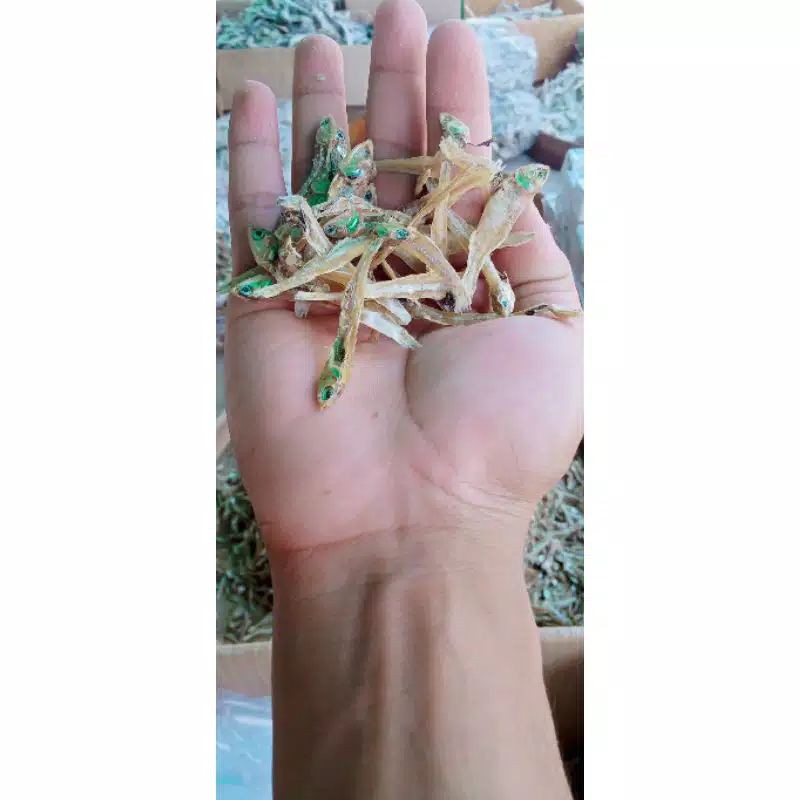 

teri tawar asli 500 gr