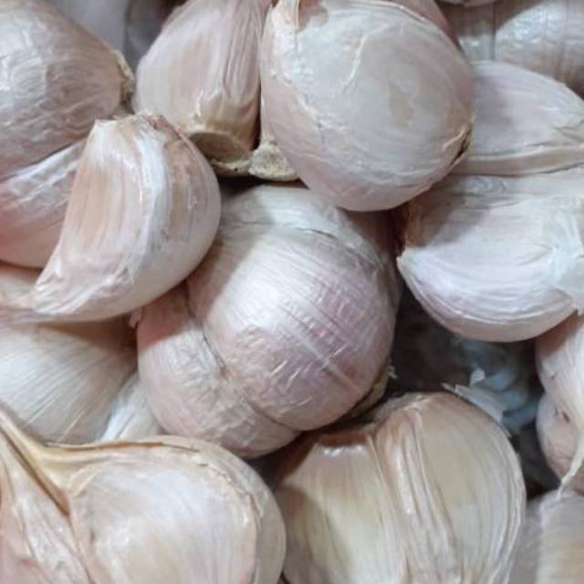 

Bawang putih katingan 250 gr