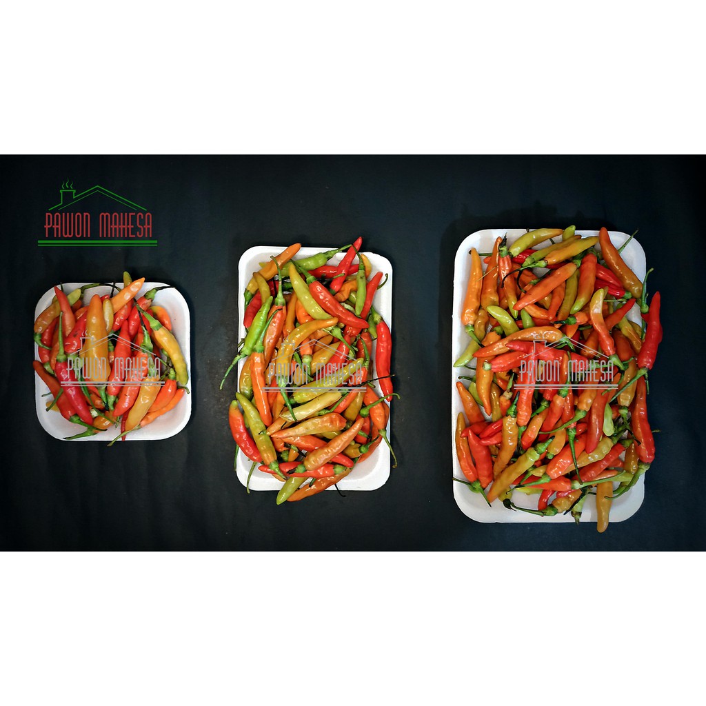 

Cabai Galak / Lombok setan (PM-2) Fresh 100gr s/d 500gr