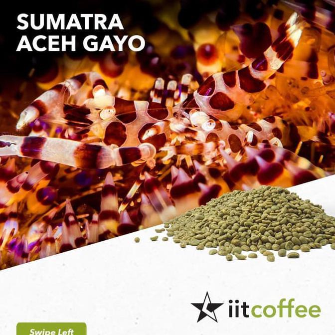 

Arabica Green Beans - Sumatra Aceh Gayo Semi Washed 1Kg