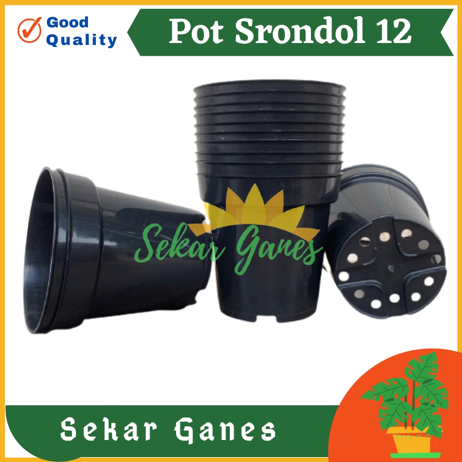 Pot Tinggi Srondol 12 HITAM - Pot Tinggi Usa Eiffel Effiel 18 20 25 Lusinan Pot Tinggi Tirus 15 18 20 30 35 40 50 Cm Paket murah isi 1 lusin pot bunga plastik pot tanaman Pot Bibit Besar Mini Kecil Pot Srondol Pot Bunga Tanaman Termurah Bahan Baguss