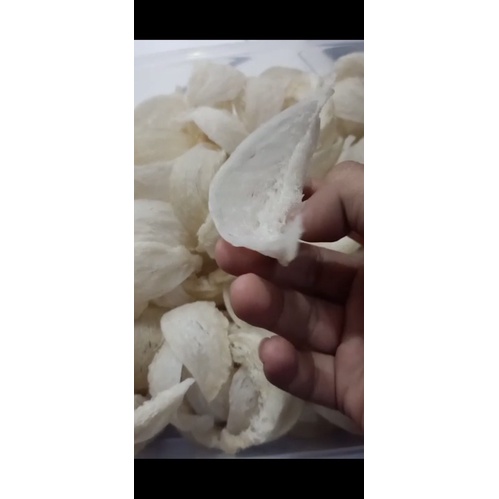 

Sarang Burung Walet kualitas export