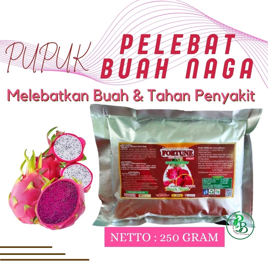 Pupuk Boster buah naga biar cepat berbuah, Nutrisi Pohon buah Naga merah Sukabumi