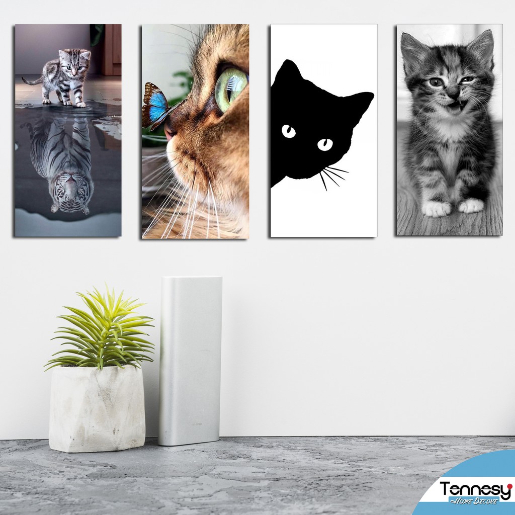 Wall Decor Hiasan  Dinding Kamar  Dinding Rumah Kucing 