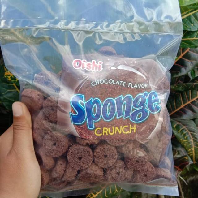 Oishi Sponge