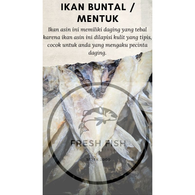 

Ikan Buntal / Ikan Asin Buntal / Mentuk 250gram