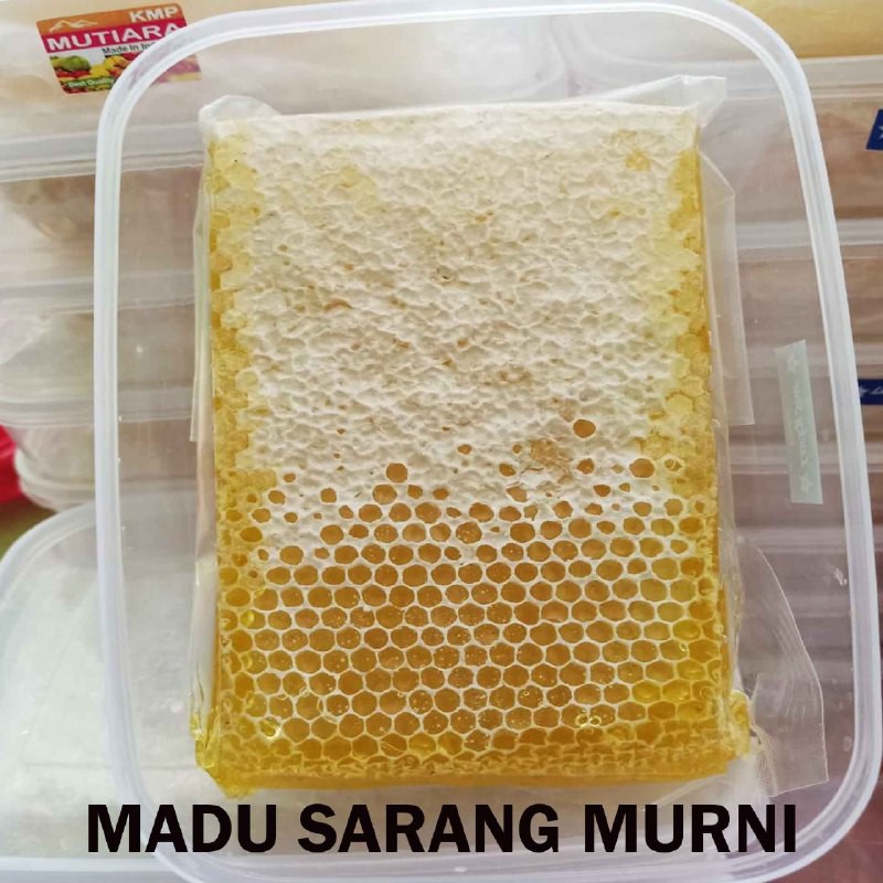 

Madu Sarang Murni