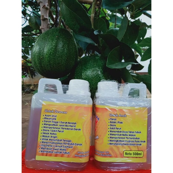 

MADU LEBAH HUTAN SUMATRA DIJAMIN 100% ASLI