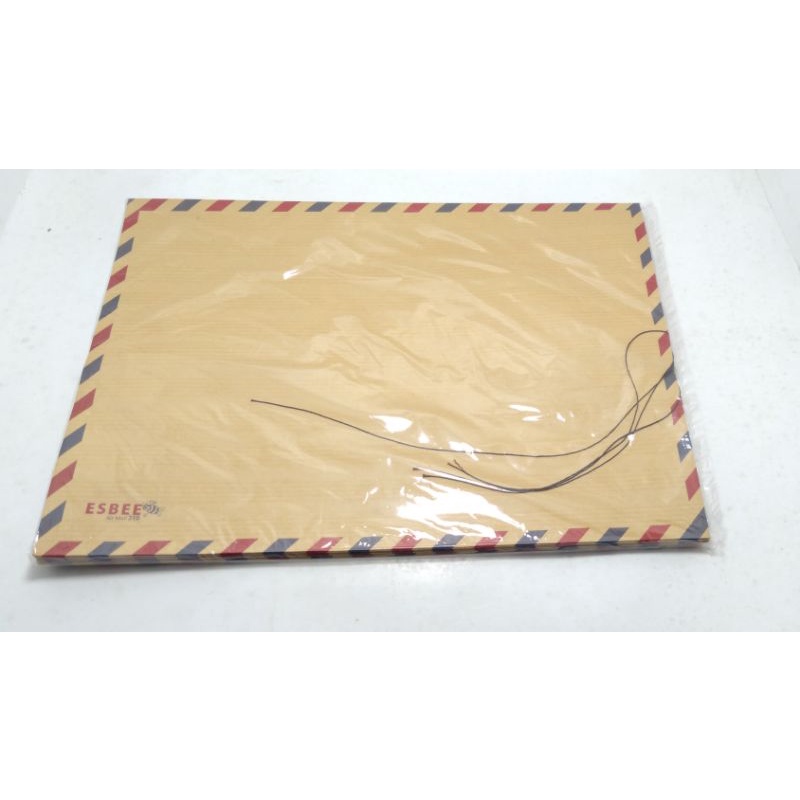

amplop lamaran amplop tali amlpop coklat 310