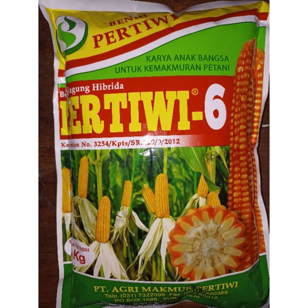 Benih jagung pertiwi-6