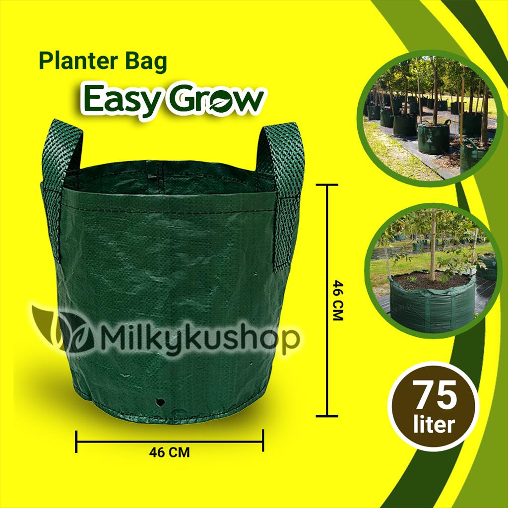 PLANTER BAG EASY GROW STANDAR 75 LITER - HIJAU