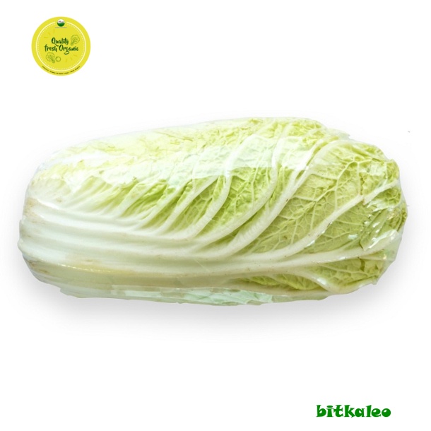 

Sawi Putih Organik 500 gr (PO)