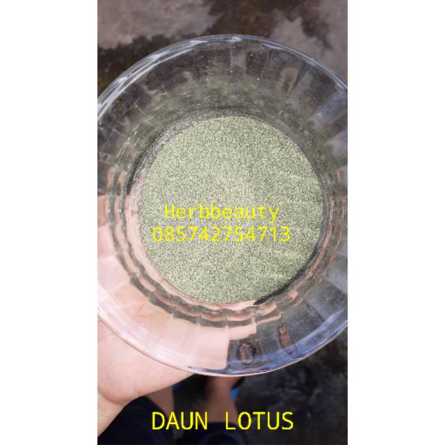 

DAUN LOTUS BUBUK 1 KG