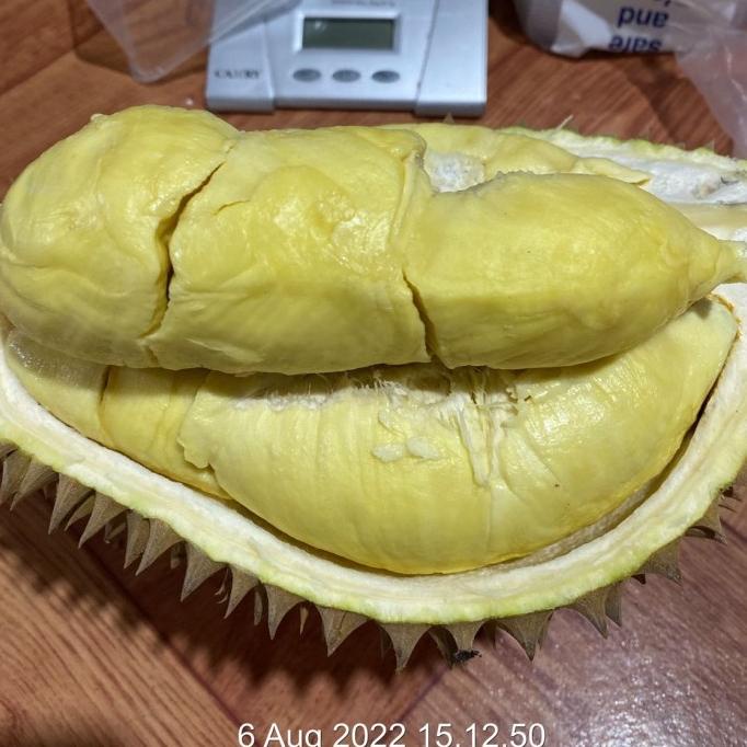 Durian Montong Palu Parigi Utuhan/Butiran