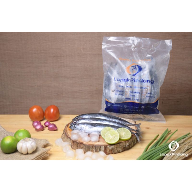 

Frozen ikan tongkol segar 1 kg premium