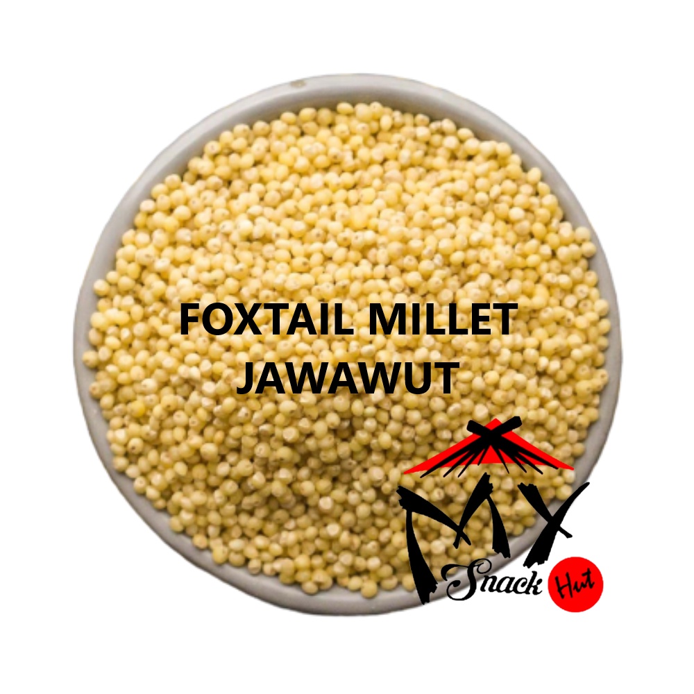 FOXTAIL MILLET 100GR - JAWAWUT JUWAWUT JEWAWUT HUANG RICE SETARIA ITALICA MILET XIAOMI JO AWA SU 小米 粟