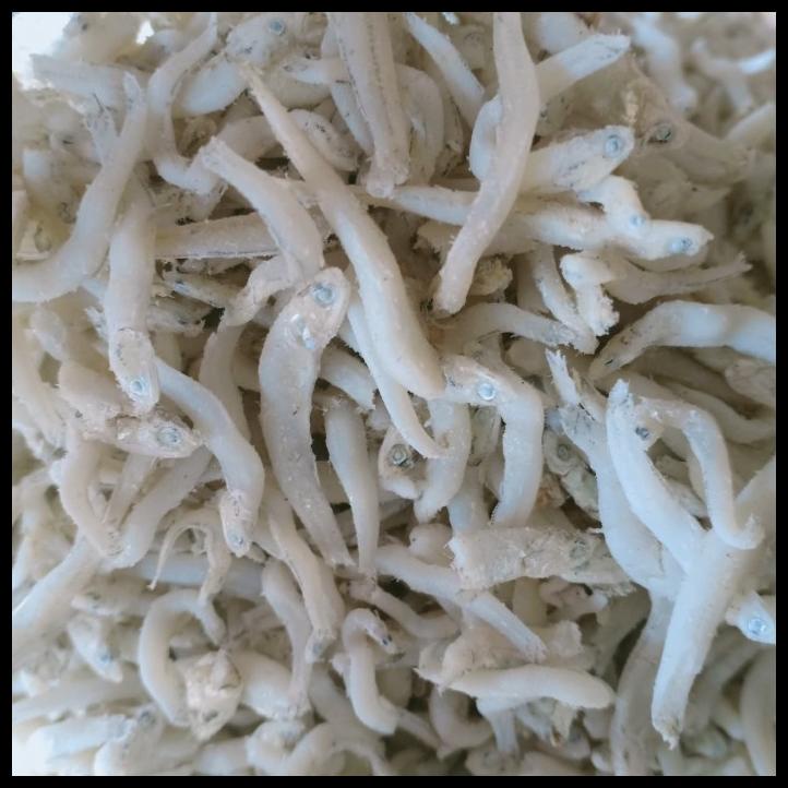 

Ikan Asin Teri Medan Kasar Toge Per 500Gr