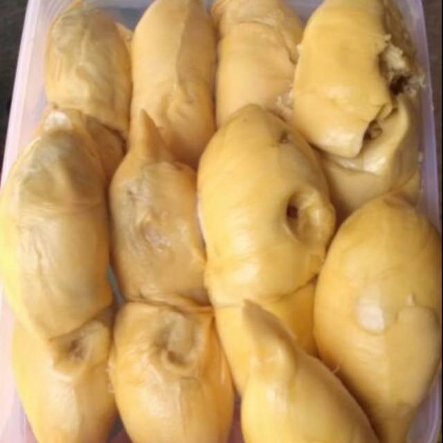 

Durian Sibolga/Medan
