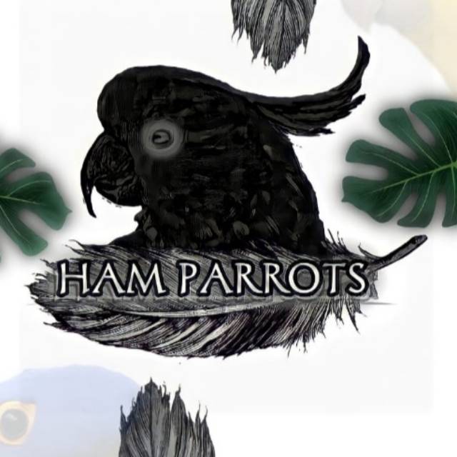 hamparrots