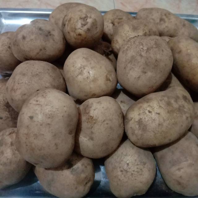 

Kentang dieng sedang 500 gram - 1 kg sayur bandung