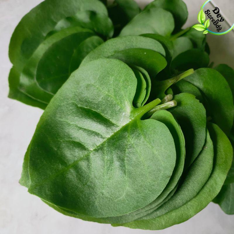 

Daun binahong segar berat 1 kg