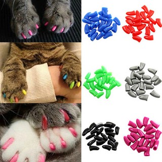 soft nail caps for dogs