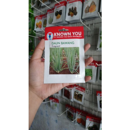 Benih daun bawang FRAGRANT 5GR