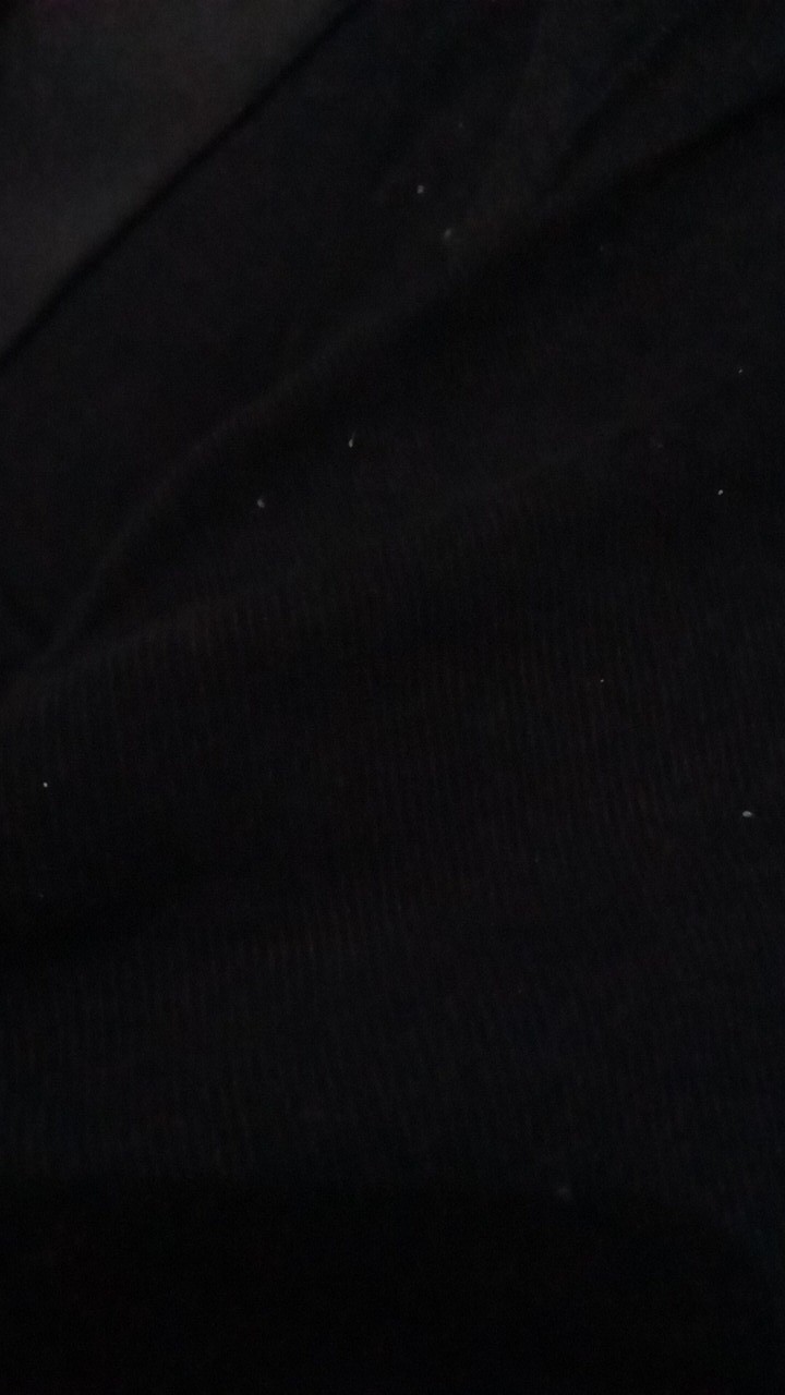 Racun Tikus Paling Ampuh Tidak Meninggalkan Bau Penjebak Jebakan Ampuh Membasmi Tikus Langsung Mati