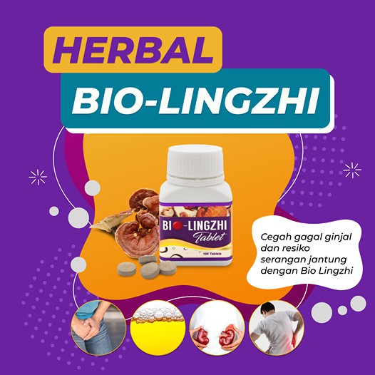 1 BOX Bio-LingZhi