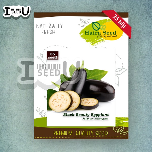 Haira Seed BIbit-BIji Terong Black Beauty