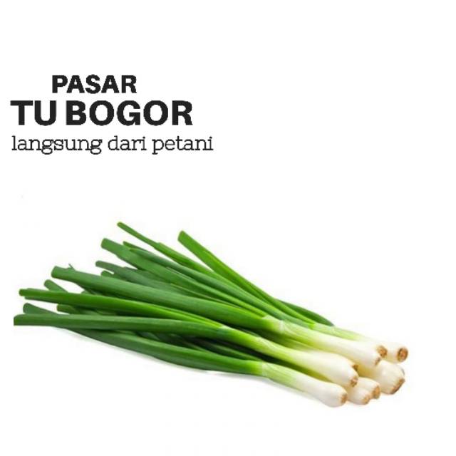 

Daun Bawang Bersih 100 gram