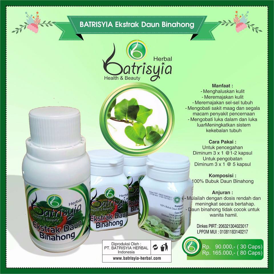 Batrisyia ekstrak daun binahong