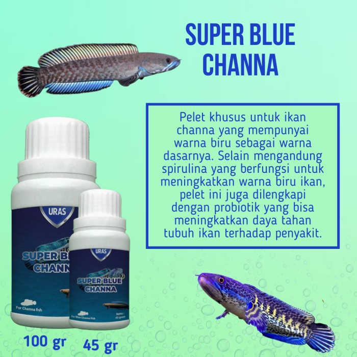 URAS - Pelet Super Channa / Pelet Formula Spesial Untuk Warna