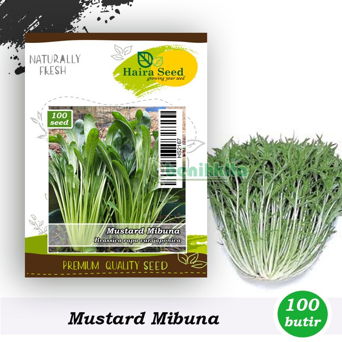 Benih-Bibit Mustard Mibuna (Haira Seed)