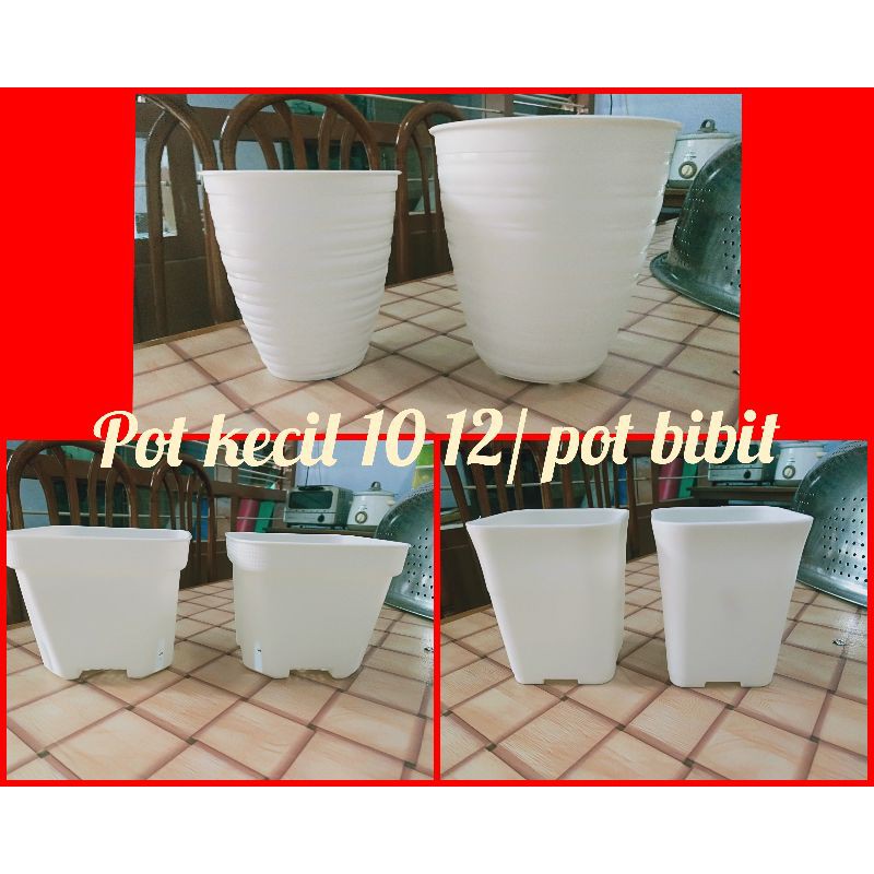 Pot Bibit putih pot pirus 10 12 putih Pot kecil putih