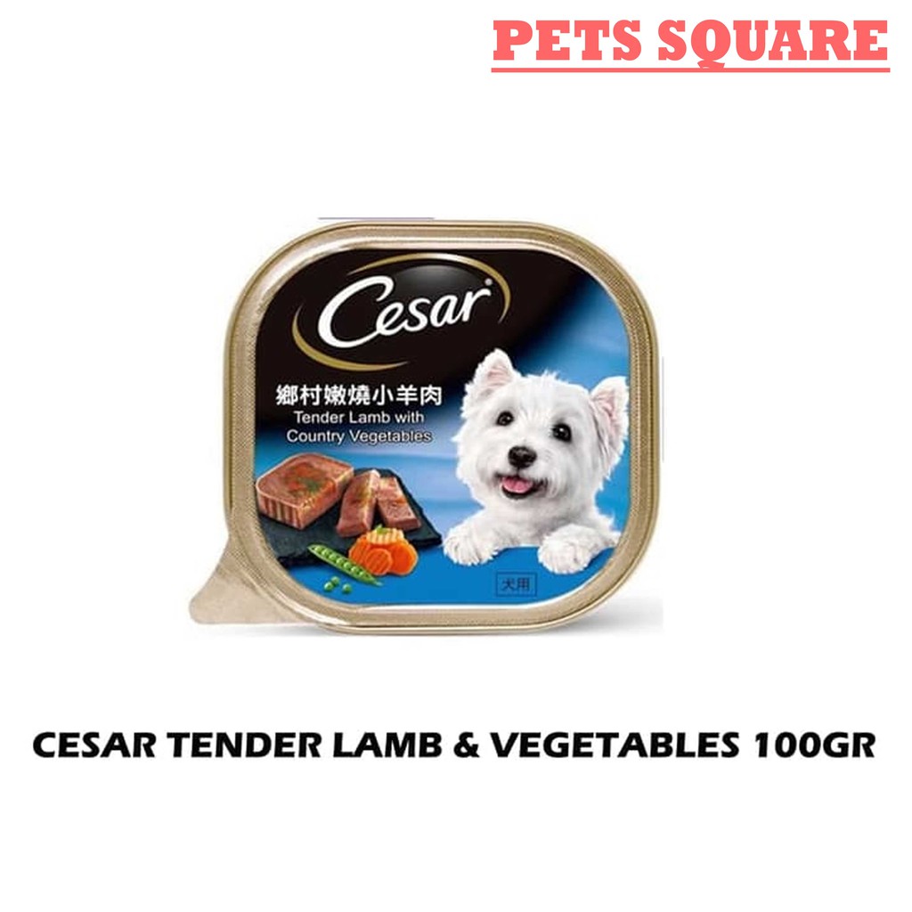 MAKANAN ANJING CESAR TENDER LAMB &amp; VEGETABLES 100GR