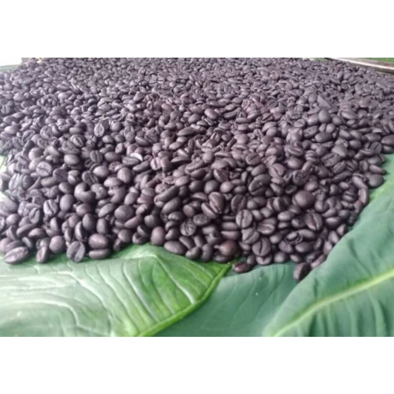 

Kopi Robusta Asli Sidikalang Mantap