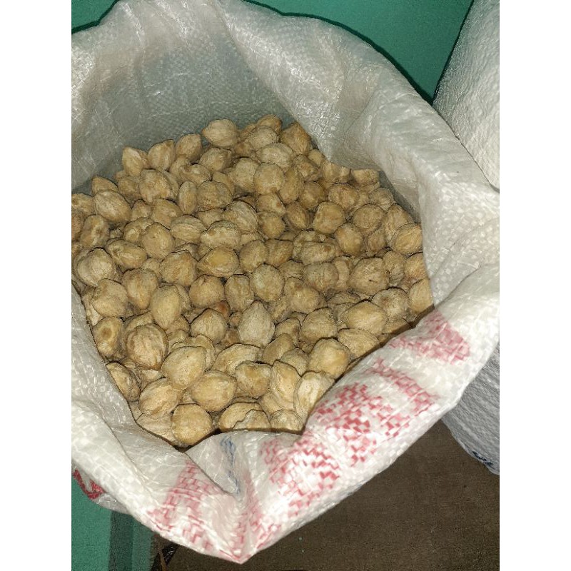 

kemiri / muncang 100 gr
