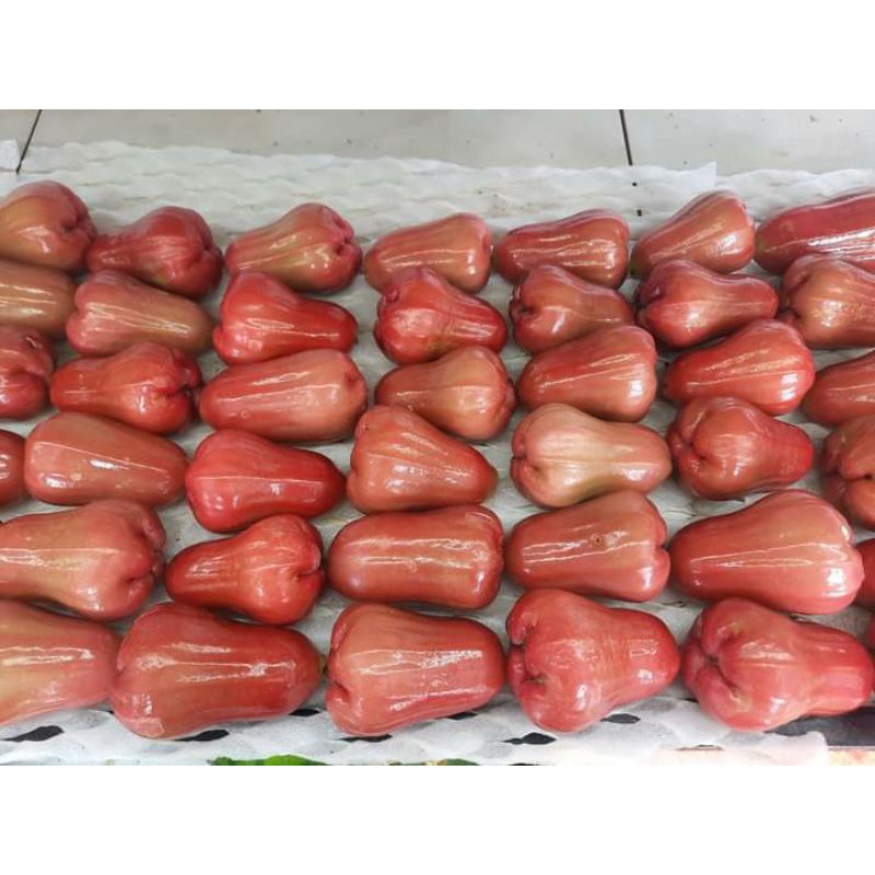 Buah Jambu Air Citra Merah 1kg