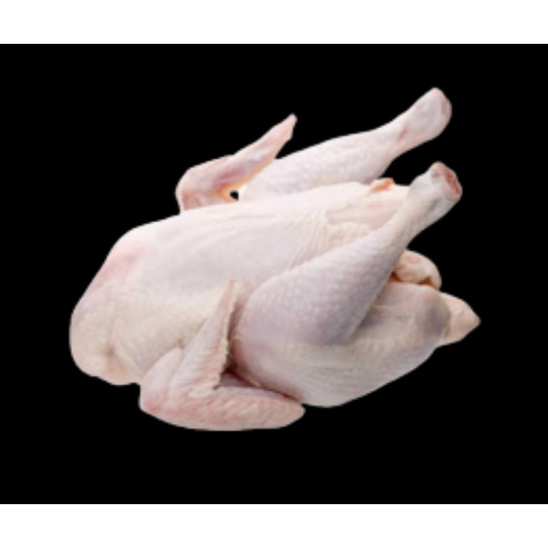 

ayam karkas murah