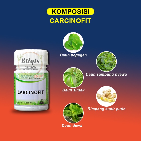 CARCINOFIT Obat Herbal Kanker dan Tumor dengan gejala bengkak Benjolan dan nyeri serta luka basah-2