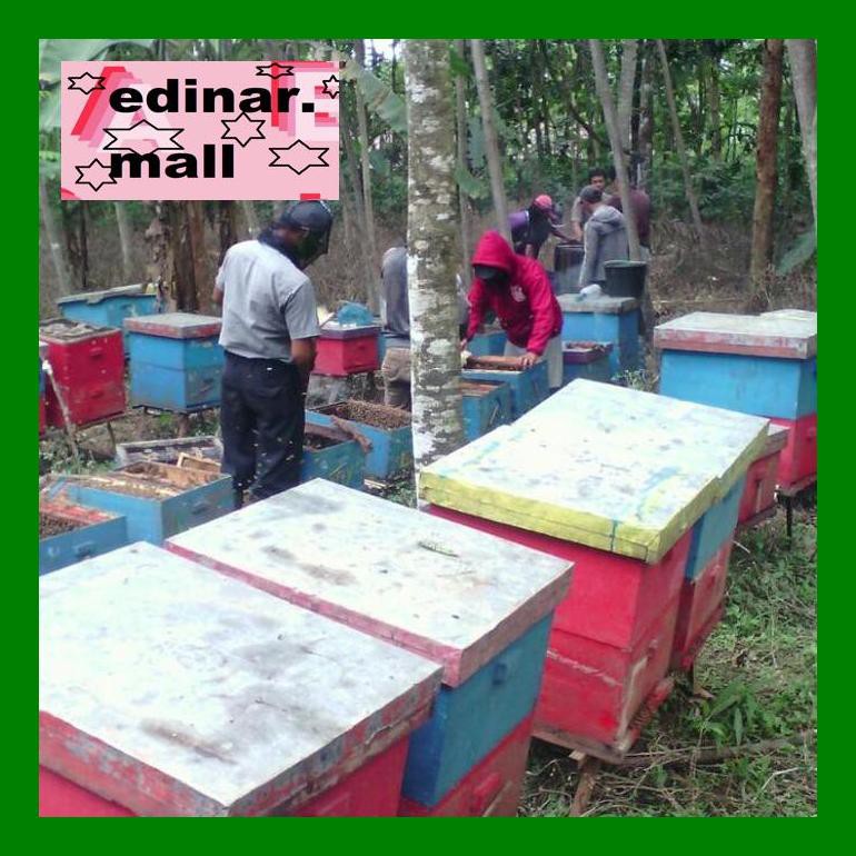 

Edvitxd Raw Honey Kaliandra ||Madu Asli||Unprossed Honey 500Gr S50Edd0