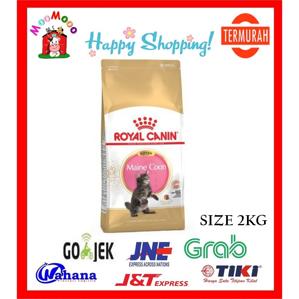 Royal Canin Maine Coon Kitten 2kg Makanan Kucing Shopee Indonesia