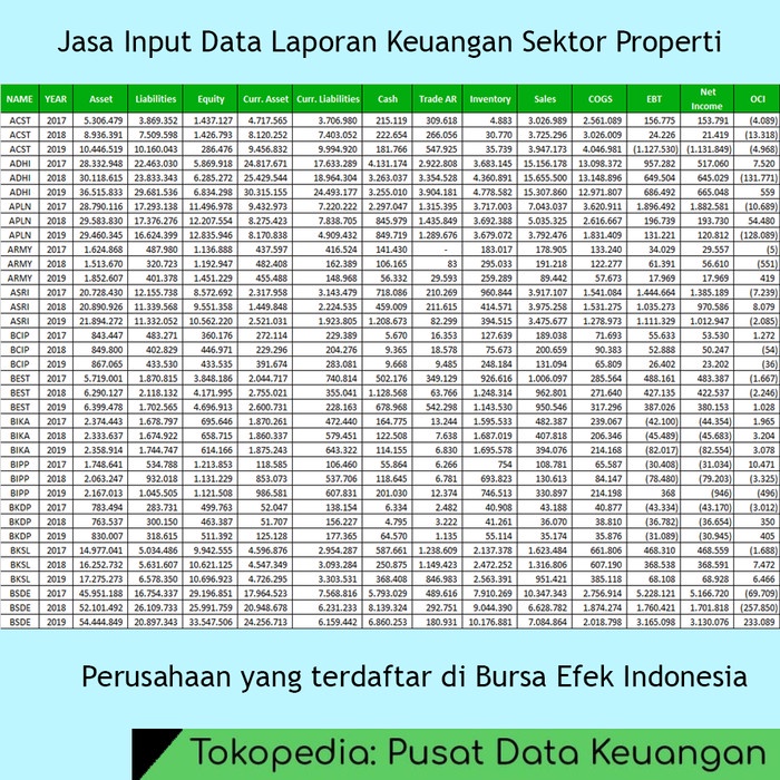 

database-buku- dvd jasa input data laporan keuangan properti dan real estate - idx -buku-database.