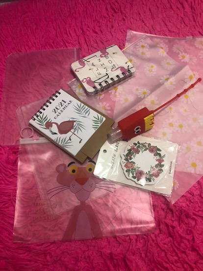 [tu] Kantong Zip Lock Transparan Bunga Daisy - Hw0115