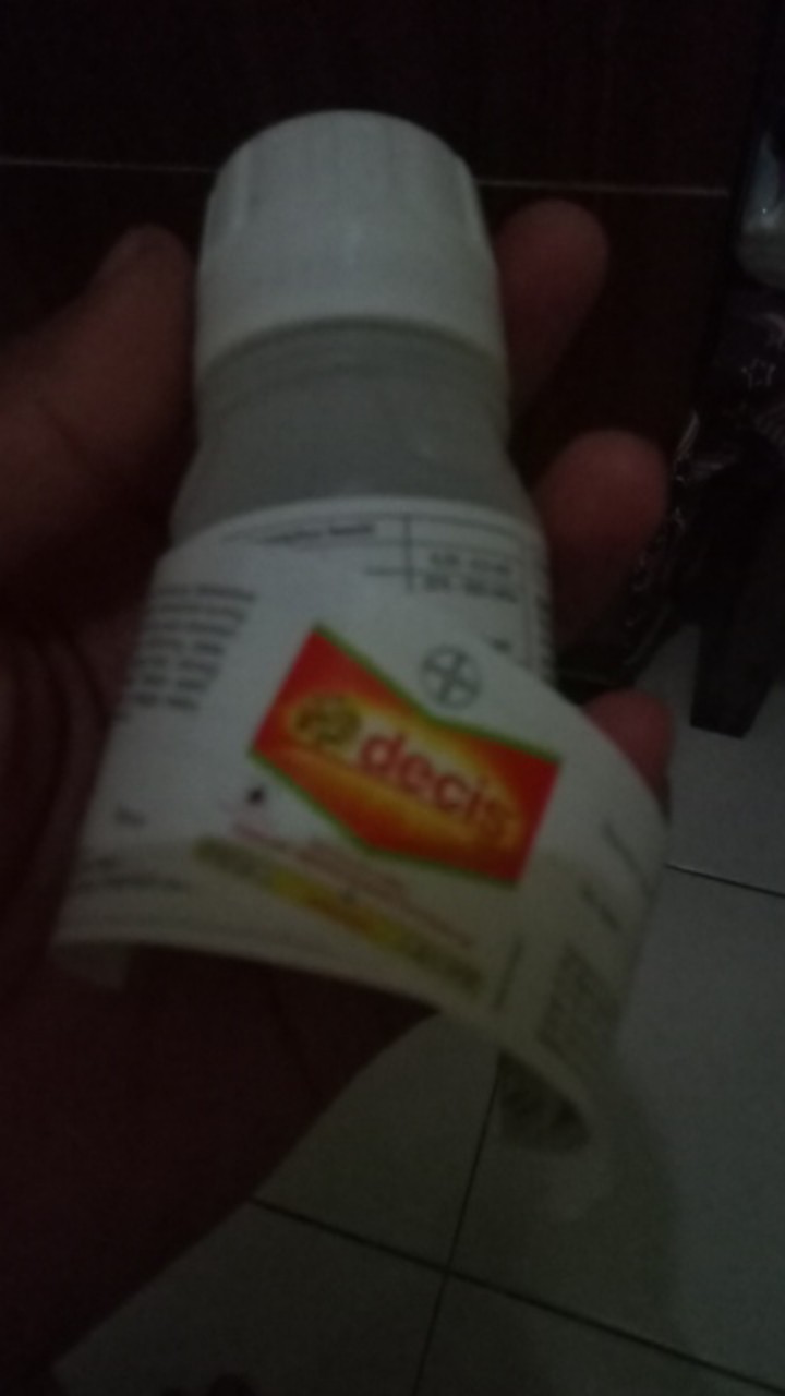 Insektisida Decis 25ec 50ml