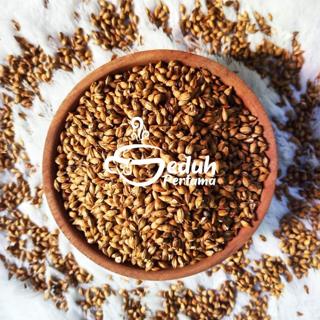 

Seduh Pertama Korean Roasted Barley Tea - Teh Gandum Korea